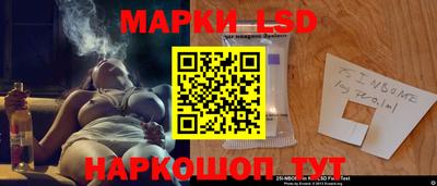 МДПВ Камышлов
