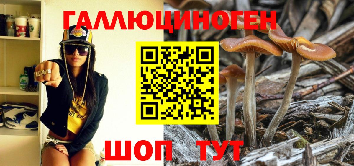 Псилоцибиновые грибы Psilocybine cubensis  Вход с VPN  Кузнецк 